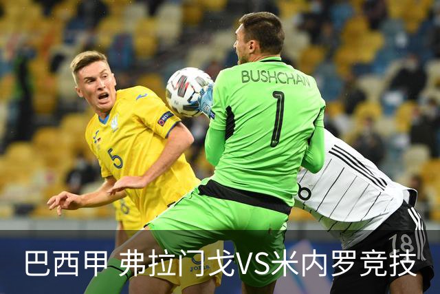 巴西甲 弗拉门戈VS米内罗竞技