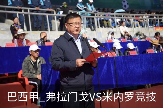 巴西甲 弗拉门戈VS米内罗竞技